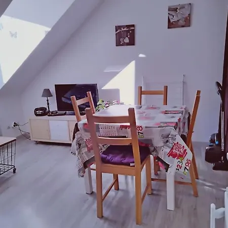Cosy Hyper Centre Apartment