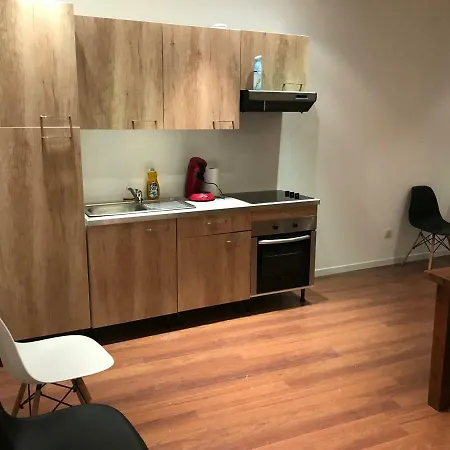 Cosy Hyper Centre En Velay